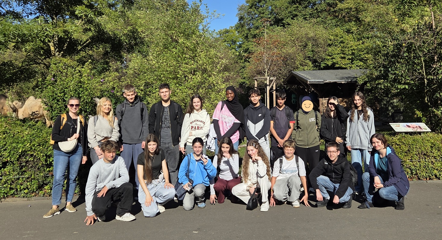 zoo25 I